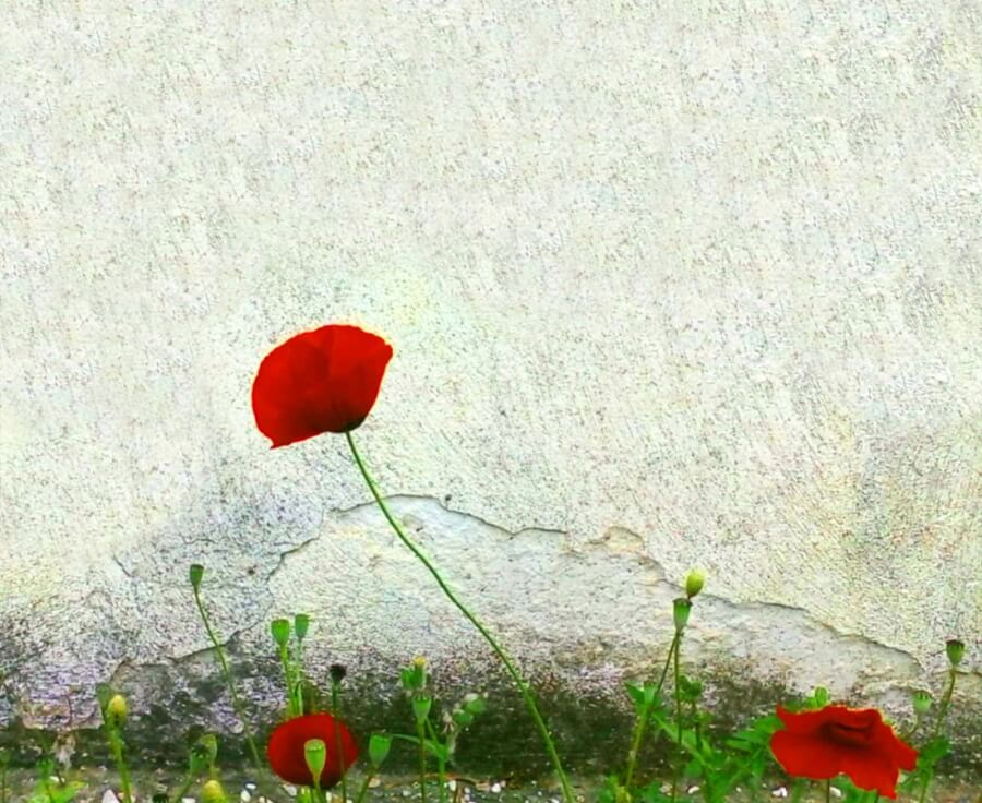 You must believe in Spring